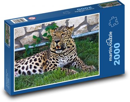 Lampart - kocia bestia, zoo - Puzzle 2000 elementów, rozmiar 90x60 cm