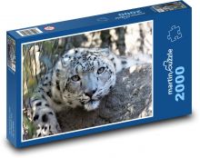 Leopard - velká kočka, šelma Puzzle 2000 dílků - 90 x 60 cm