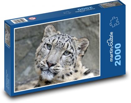 Leopard - animal, cat - Puzzle 2000 pieces, size 90x60 cm 