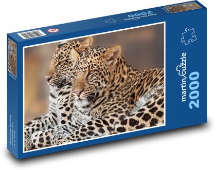 Leopard - mládě, Afrika - Puzzle 2000 dílků, rozměr 90x60 cm