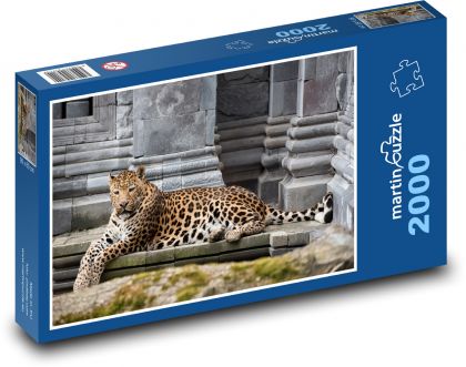 Leopard - šelma, zviera - Puzzle 2000 dielikov, rozmer 90x60 cm 