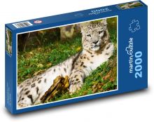 Leopard - zvíře, kočka Puzzle 2000 - 90x60 cm