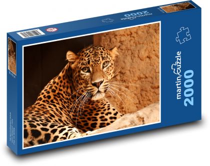 Leopard - velká kočka, zvíře - Puzzle 2000 dílků, rozměr 90x60 cm