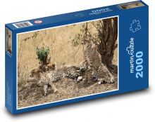 Gepard - savana, Safari Puzzle 2000 dílků - 90 x 60 cm