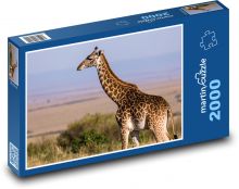 Žirafa - zvíře, savana Puzzle 2000 - 90x60 cm