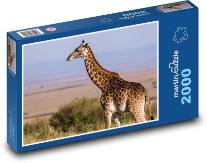 Žirafa - zvíře, savana - Puzzle 2000 dílků, rozměr 90x60 cm