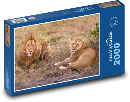 Lions - family, cub - Puzzle 2000 pieces, size 90x60 cm 
