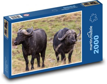 Byvol - zviera. Afrika - Puzzle 2000 dielikov, rozmer 90x60 cm 