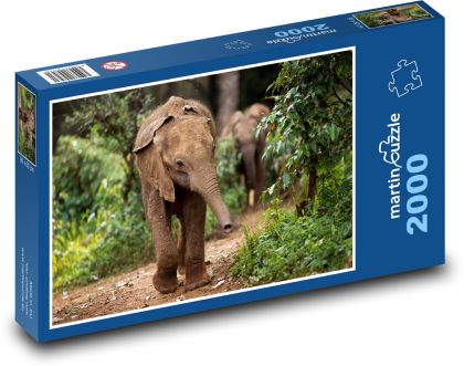 Slon - zvíře, slůně - Puzzle 2000 dílků, rozměr 90x60 cm