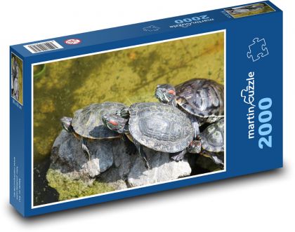 Korytnačky - plazy, zvieratá - Puzzle 2000 dielikov, rozmer 90x60 cm 