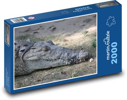 Krokodýl - zvíře, plaz - Puzzle 2000 dílků, rozměr 90x60 cm