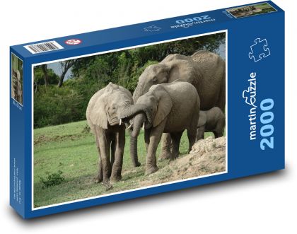 Elefant - Tier, Kenia - Puzzle - 2000 Teile