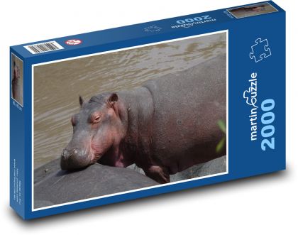 Hroch - voda, zvíře - Puzzle 2000 dílků, rozměr 90x60 cm