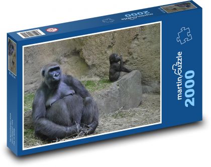 Gorilla - zoo, monkey - Puzzle 2000 pieces, size 90x60 cm 