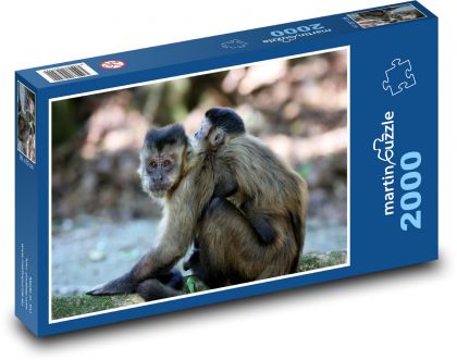 Opice - mláďa, zviera, zoo - Puzzle 2000 dielikov, rozmer 90x60 cm 