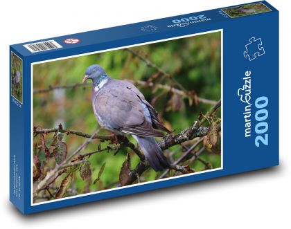 Taube - Vogel, Tier - Puzzle - 2000 Teile