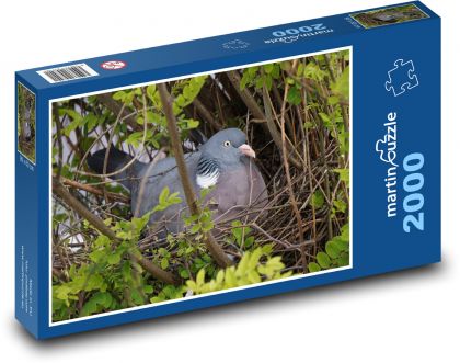 Dove - bird, feathers - Puzzle 2000 pieces, size 90x60 cm 
