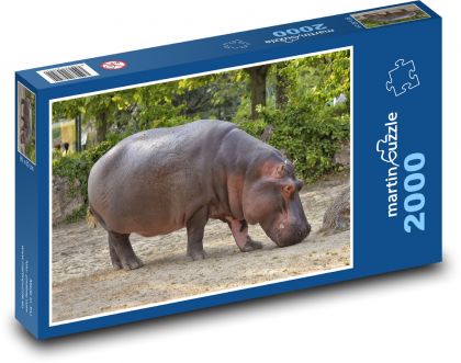Hroch - zvíře, Afrika - Puzzle 2000 dílků, rozměr 90x60 cm