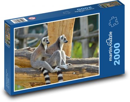 Lemur - opice, zvíře - Puzzle 2000 dílků, rozměr 90x60 cm