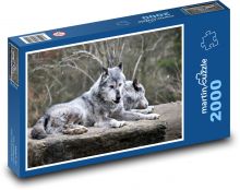 Vlk - divoké zvíře, příroda Puzzle 2000 dílků - 90 x 60 cm