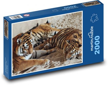 Tiger - schlafende Raubkatzen - Puzzle - 2000 Teile