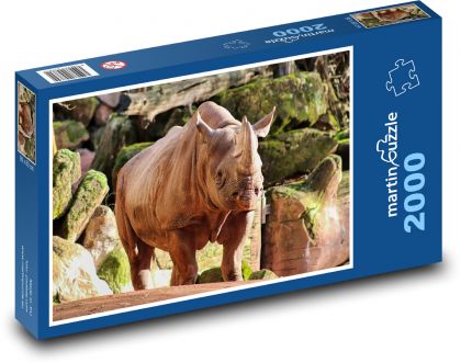 Nosorožec v zoo - velké zvíře, příroda - Puzzle 2000 dílků, rozměr 90x60 cm