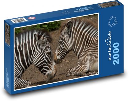 Zebra - matka s mládětem - puzzle 2000 dílků