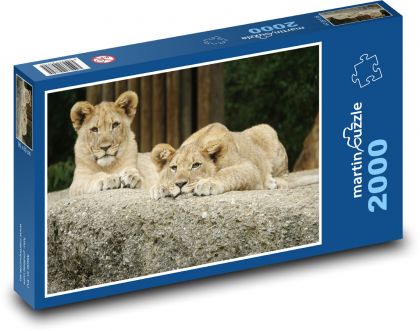 Löwenjunges - Zwillinge, Tiere - Puzzle - 2000 Teile