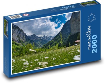 Valley of the Mountain - Switzerland, flowering meadow - Puzzle 2000 pieces, size 90x60 cm 