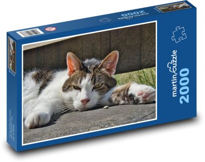 Unavená kočka - domácí mazlíček - Puzzle 2000 dílků, rozměr 90x60 cm