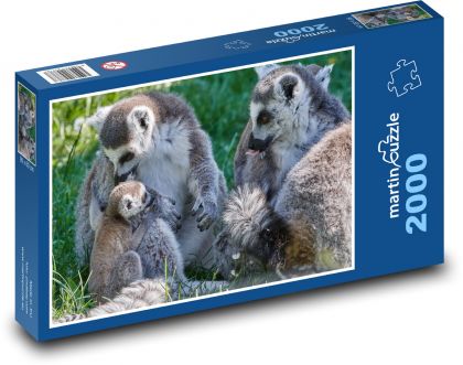 Lemur - opice, mládě - Puzzle 2000 dílků, rozměr 90x60 cm