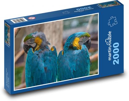 Papagáj ara - modrý vták, zobák - Puzzle 2000 dielikov, rozmer 90x60 cm 