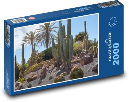 Kaktusy - púšť, rastliny - Puzzle 2000 dielikov, rozmer 90x60 cm 