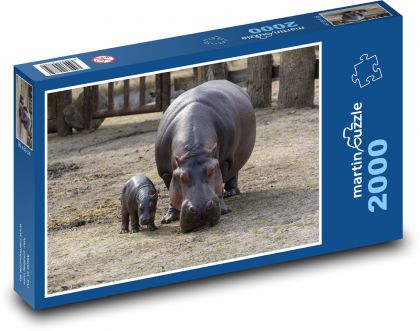 Hippopotamus - Copenhagen Zoo, animal - Puzzle 2000 pieces, size 90x60 cm 