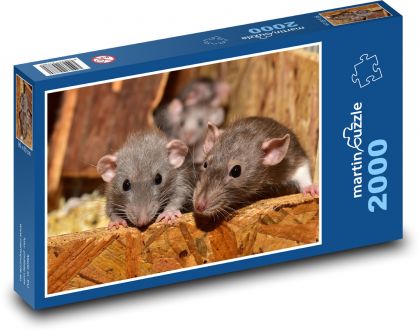 Myš - hlodavec, zvíře - Puzzle 2000 dílků, rozměr 90x60 cm