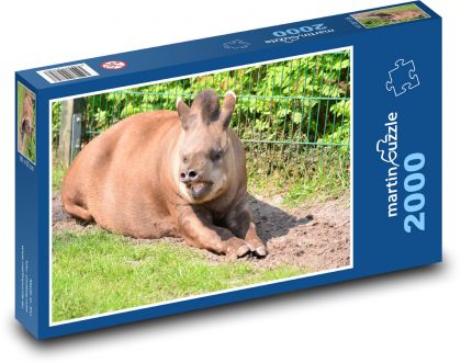 Tapír - zoo, zviera - Puzzle 2000 dielikov, rozmer 90x60 cm 
