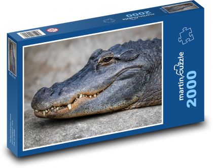 Aligátor - krokodýl, plaz - Puzzle 2000 dílků, rozměr 90x60 cm