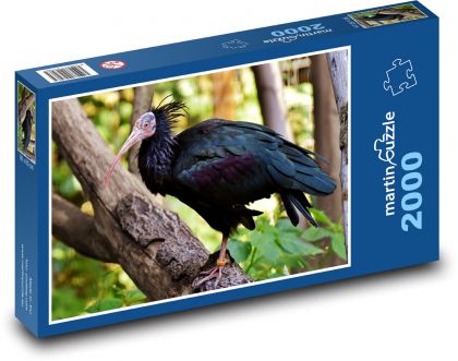 Čierny ibis - vták na strome, zviera - Puzzle 2000 dielikov, rozmer 90x60 cm 
