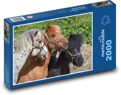 Ponies - young horses, foals - Puzzle 2000 pieces, size 90x60 cm 