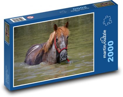 Kôň vo vode - kúpanie, rybník - Puzzle 2000 dielikov, rozmer 90x60 cm 