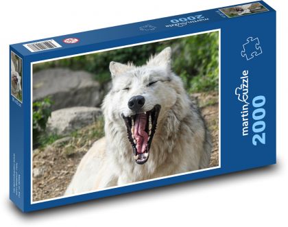 Yawning wolf - fangs, muzzle - Puzzle 2000 pieces, size 90x60 cm 