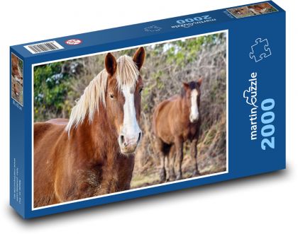 Bretaňský kůň - zvíře, pole - Puzzle 2000 dílků, rozměr 90x60 cm