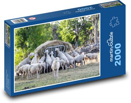 Stado owiec - jedzenie, wieś - Puzzle 2000 elementów, rozmiar 90x60 cm