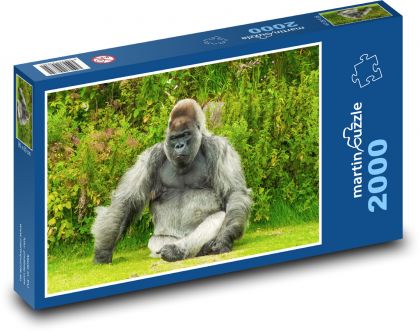Gorila - zvíře, příroda - Puzzle 2000 dílků, rozměr 90x60 cm