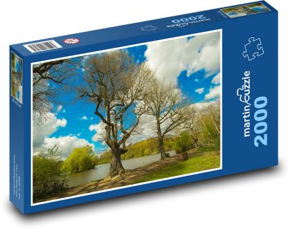 Stromy - jaro, jezero - Puzzle 2000 dílků, rozměr 90x60 cm