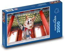 Pies - pies w świątyni Puzzle 2000 elementów - 90x60 cm
