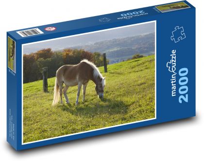 Hnědý kůň - pastva - Puzzle 2000 dílků, rozměr 90x60 cm