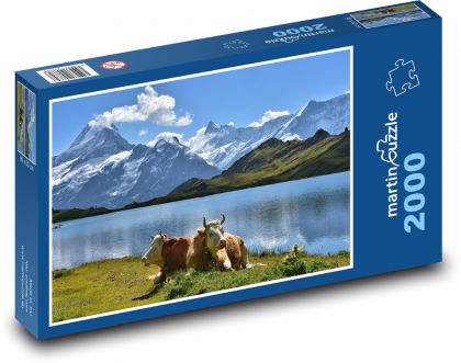 Mountains, lake, cows - Puzzle 2000 pieces, size 90x60 cm 