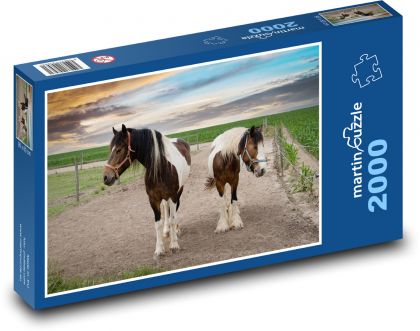 Farma - koně, zvířata - Puzzle 2000 dílků, rozměr 90x60 cm