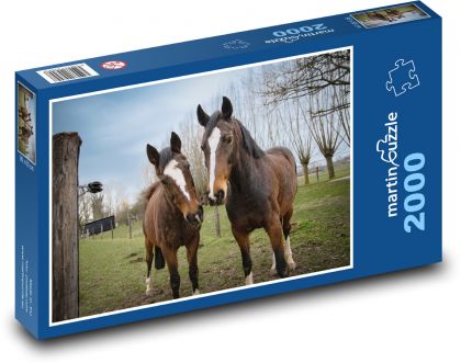 Brązowe konie - ogier, klacz - Puzzle 2000 elementów, rozmiar 90x60 cm
